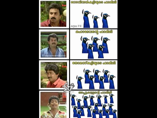 അപ്പുക്കുട്ടന്‍ മയിലിന്റെ ഫാമിലി