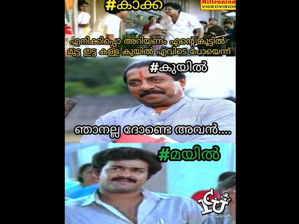 അപ്പോ കാക്കയുടെ കൂട്ടില്‍