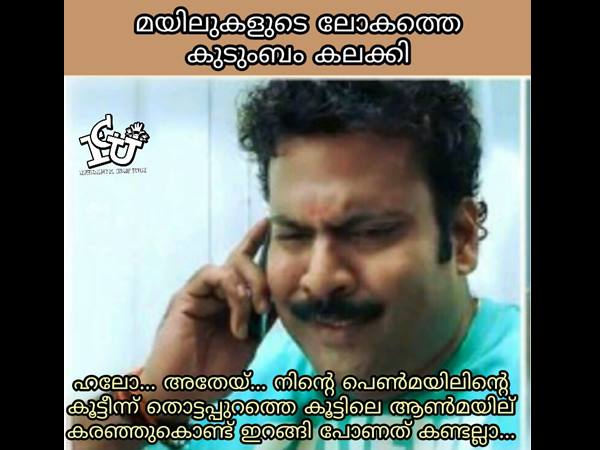 കുടുംബം കലക്കികള്‍