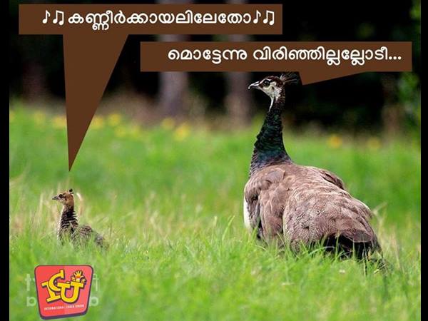 കണ്ണീര്‍ക്കായലിലേതോ