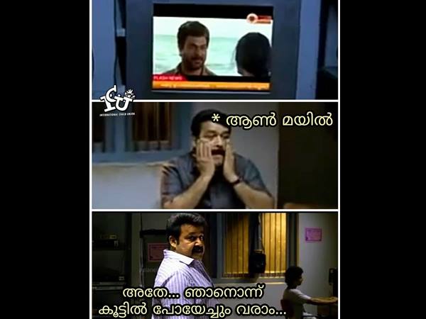 കരയാറായി... ഒന്ന് കൂട്ടില്‍ പോയേക്കാം