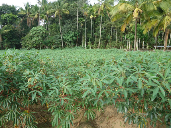 ഏങ്ങനെ മനസിലാക്കാം