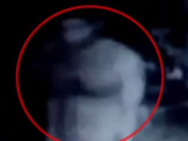 ശല്യം തുടർന്നതോടെ... ശല്യം തുടർന്നതോടെ...