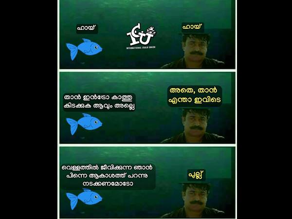 ലാലേട്ടന്‍ പ്ലിങ്