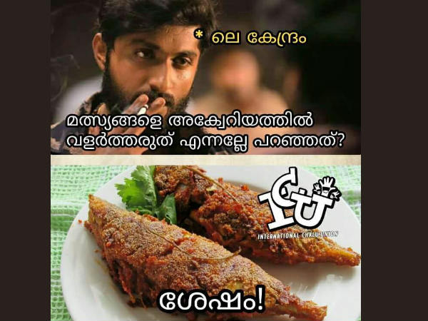  ഇല്ല വളർത്തുന്നില്ല