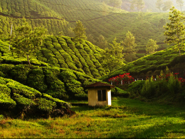 വൻ മരങ്ങൾ മുറിച്ചുമാറ്റിയും പാറകൾ പൊട്ടിച്ചും