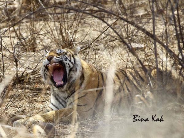 അവര്‍ കണ്ടു