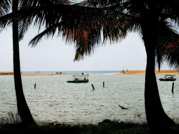 അപേക്ഷ സമർപ്പിച്ചത് 45 നഗരങ്ങൾ