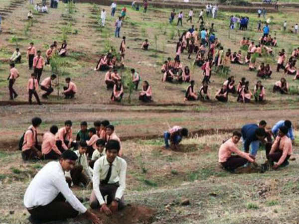 വനവകുപ്പിന്റെ സംഭാവന വനവകുപ്പിന്റെ സംഭാവന