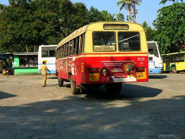 മേപ്പാടിയിൽ സർവ്വീസ് റദ്ദാക്കി...