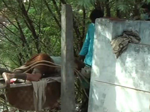 പോലീസ് പരിശോധന