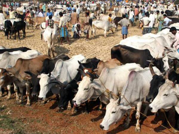 നാഗ്പൂരിലെ ആക്രമണത്തിന് പിന്നിൽ ഇവർ പ്രഹാർ സംഘടന