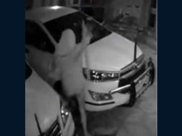 വാഹനങ്ങളും തകർത്തു