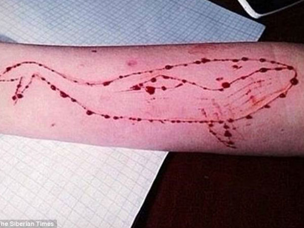 blue whales blue whales