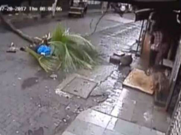 Kanchan Nath accident Kanchan Nath accident