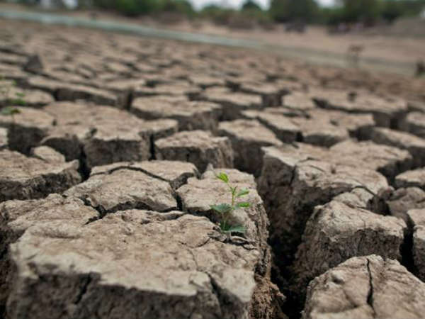  ഏറ്റവും കൂടുതൽ ബാധിക്കുന്നത് കർഷകരെ 