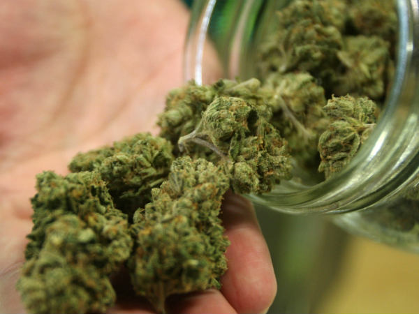 മൂന്നു മീറ്ററിലേറെ ഉയരം...