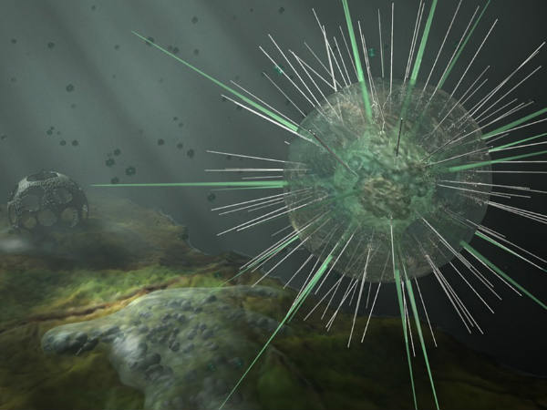 ജാപ്പനീസ് എന്‍സഫലിസ്