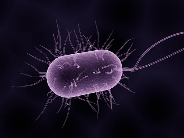 അബദ്ധം പറ്റുന്ന പ്രതിരോധം