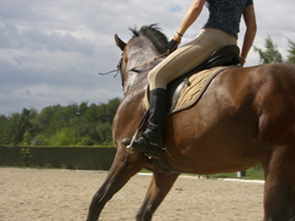 കുതിരച്ചാട്ടത്തില്‍ പരിശീലനം