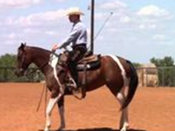 സ്വാതന്ത്ര്യത്തിലേക്കുള്ള പറക്കല്‍