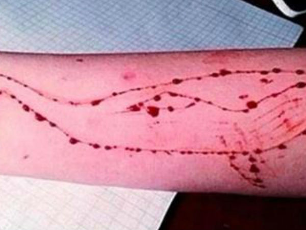 പൊന്നാനി കടലില്‍