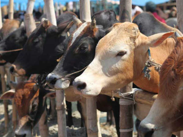 സ്ഥിരീകരിച്ച് ഡോക്ടർ