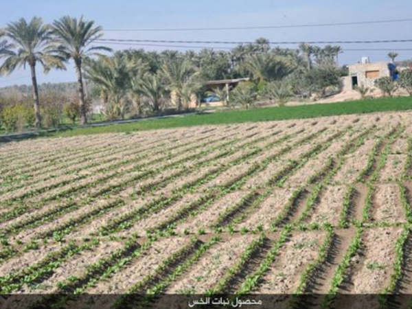 മണ്ണ് കടത്തിയ കേസില് നടപടി സ്വീകരിച്ചില്ല മണ്ണ് കടത്തിയ കേസില് നടപടി സ്വീകരിച്ചില്ല