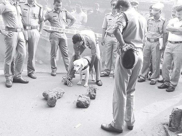 ആക്രമിക്കപ്പെട്ടത്