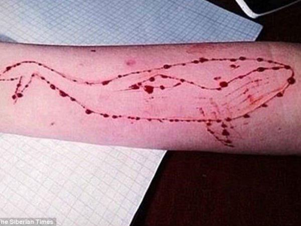 തെളിവ് ലഭിച്ചിട്ടില്ല തെളിവ് ലഭിച്ചിട്ടില്ല