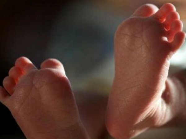 കുഞ്ഞുങ്ങളുടെ മരണത്തിന് കാരണം മരങ്ങൾ