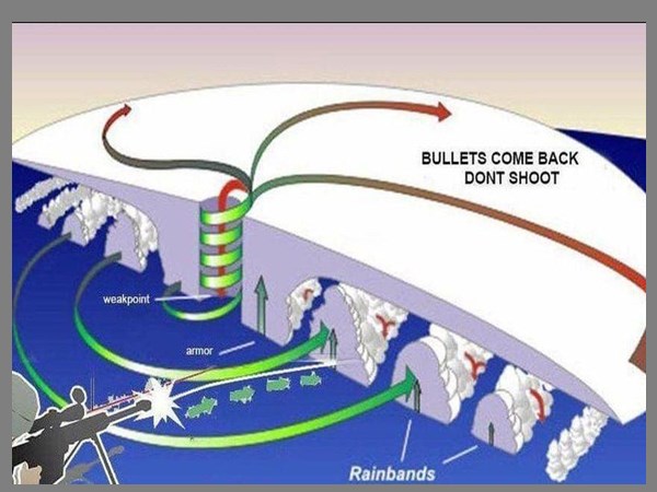 ഭ്രാന്തന്‍ ആശയമെന്ന് ചിലര്‍