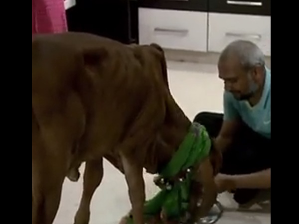 പിറന്നാൾ ആഘോഷത്തിന് 5 ലക്ഷം