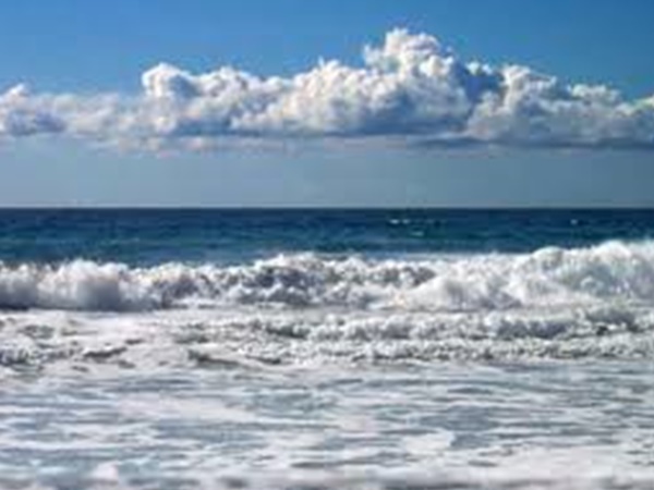  പ്രവചനം എങ്ങനെ 