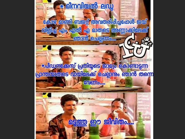 ലഡുവിന്റെ ജീവിതം ലഡുവിന്റെ ജീവിതം