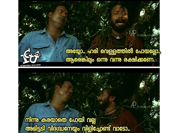 അമിട്ടി വിദഗ്ധര്‍