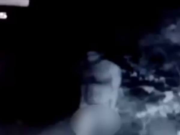 പിടികൂടി...