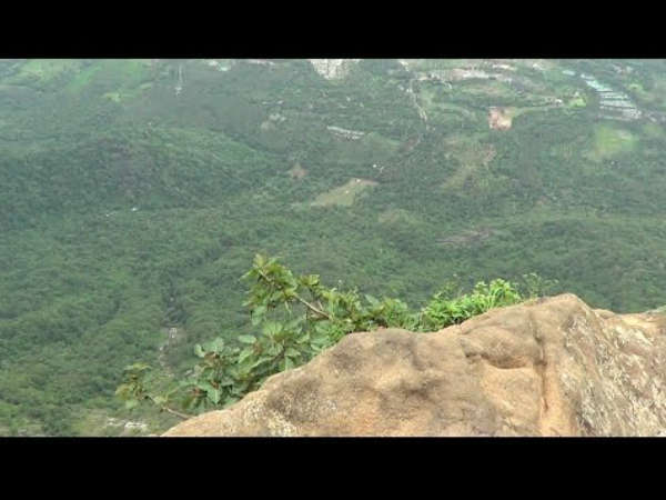 അവിവാഹിതനായ രാകേഷ്