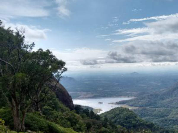 വനത്തിലേക്ക് തിരച്ചില്‍