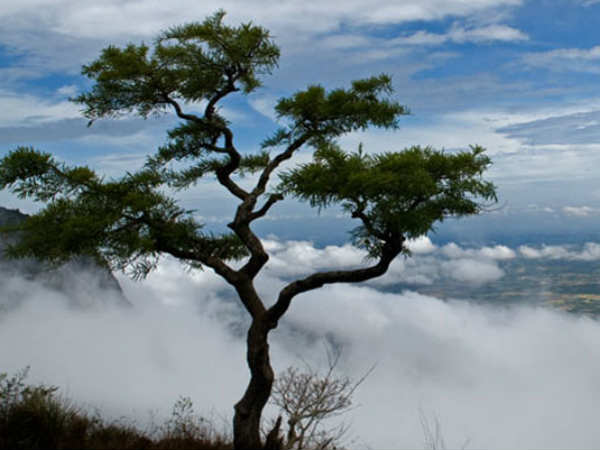 ലുലുമാളില്‍ കണ്ടത്