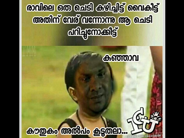കുഞ്ഞാവ കൗതുകം