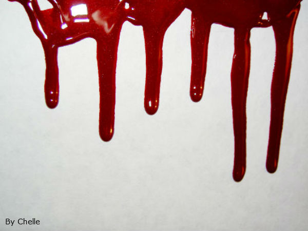 ആൾപ്പാർപ്പില്ല...