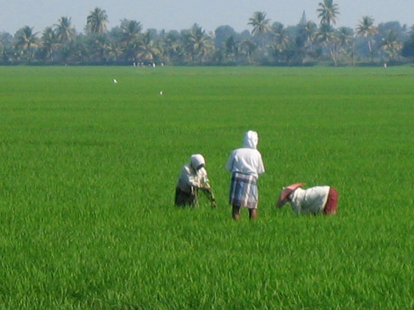 കീഴാറ്റൂര്‍ വഴി തിരിച്ചുവിടാനുള്ള നീക്കം