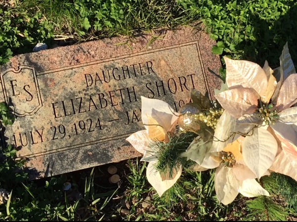 മാസം പറിച്ചെടുത്തു