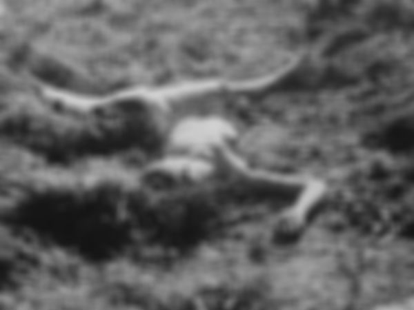 ശരീരും മുഴുവന്‍