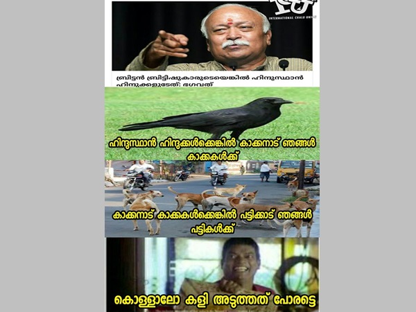കാക്കനാട് കാക്കകള്‍ക്ക്