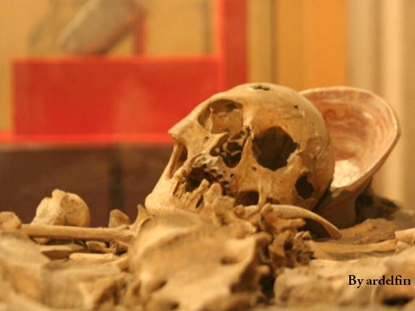 പോലീസെത്തിയിട്ടും കാര്യമില്ല