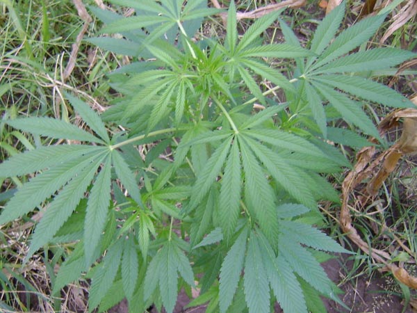 3 മാസത്തിനിടെ ഏഴ് പ്രാവശ്യം