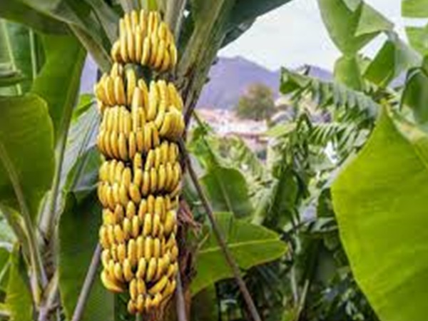 കേസും പുകിലും വേണ്ട