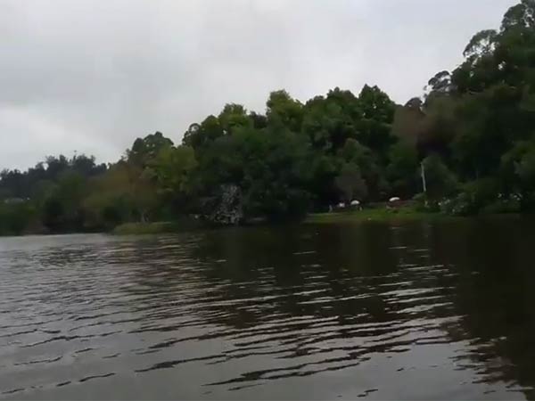 കൊച്ചി മുതല്... കൊച്ചി മുതല്...